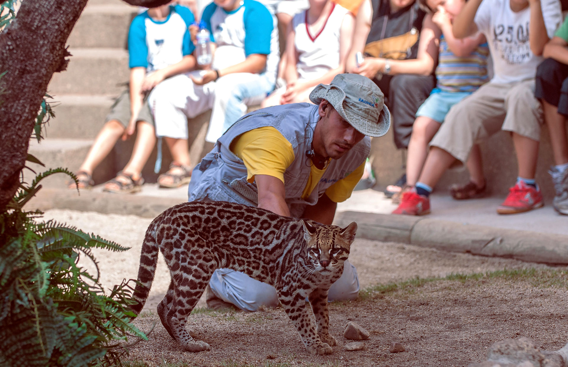 curso oficial de cuidado de animales salvajes